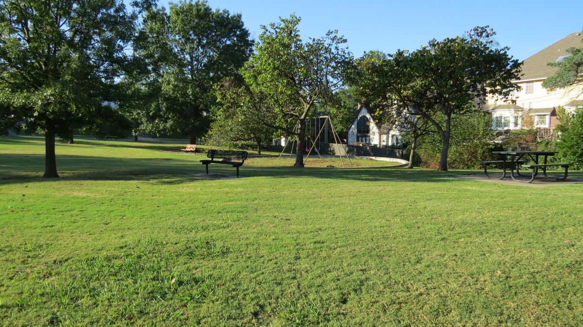 Image from Swan Lake taken on Thursday 16th of October 2025